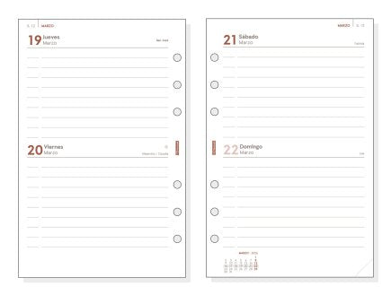 EAN 8422952401964 - Finocam 711600026 agenda Agenda diaria Beige imagen 2
