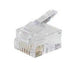 EAN 4017538720504 - S/CONN 6/6 RJ12 Transparente imagen 1