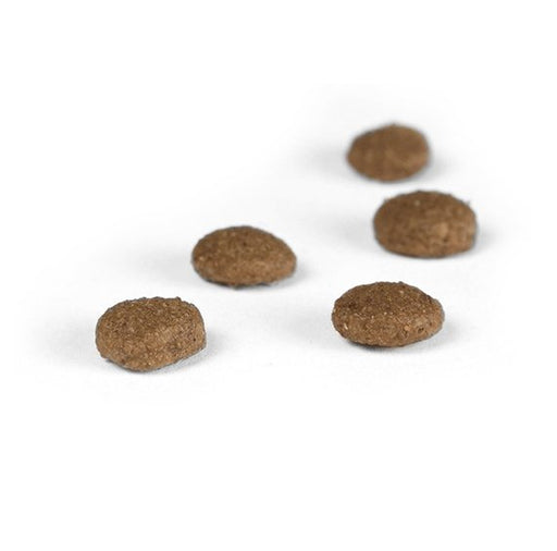 EAN 4032254757832 - Josera 9702 alimento seco para gatos 2 kg Adulto Aves, Arroz imagen 2