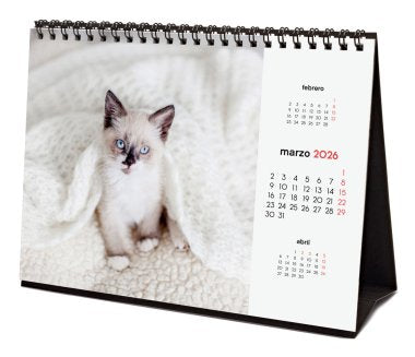 EAN 8422952402268 - Finocam 780323826 calendario Mesa imagen 5