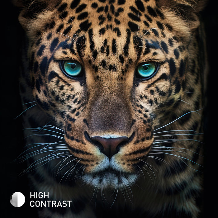 EAN 5025232964918 - Panasonic TB-40S45AEZ Televisor 101,6 cm (40") Full HD Smart TV Wifi Negro imagen 6