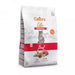 EAN 8595706700450 - Calibra 8595706700450 alimento seco para gatos 1,5 kg Adulto Ternera imagen 1