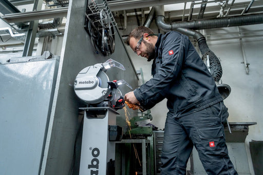 EAN 4061792226029 - Metabo DS 200 Plus amoladora de banco 2980 RPM 600 W imagen 2