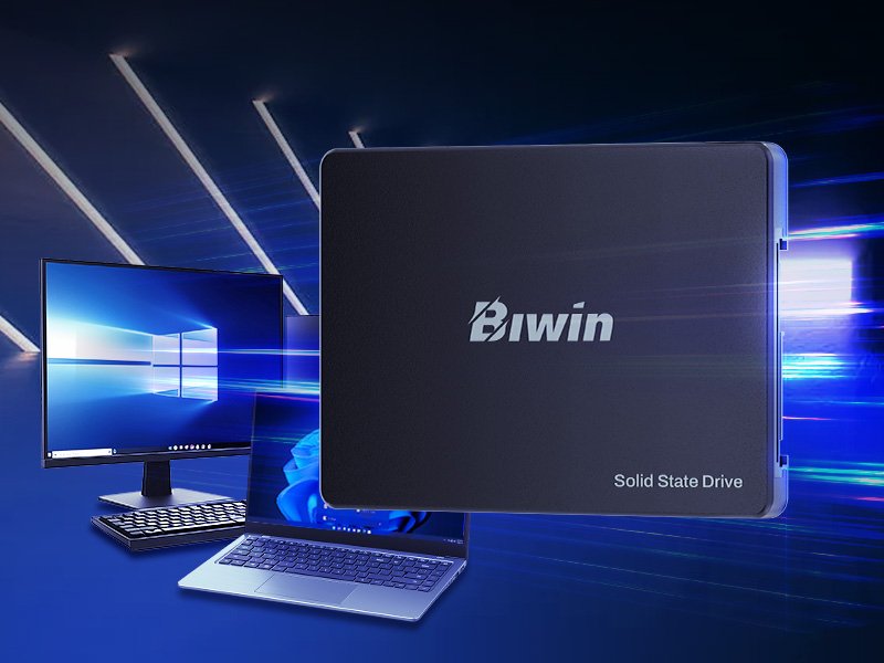 EAN 0887184025315 - Biwin M100 1 TB 2.5" Serial ATA III imagen 10