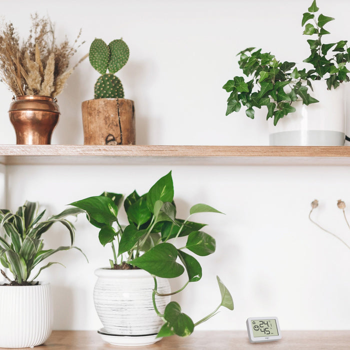 EAN 4009816037541 - TFA-Dostmann 30.5055.02 sensor de temperatura y humedad Interior Independiente Inalámbrico imagen 6