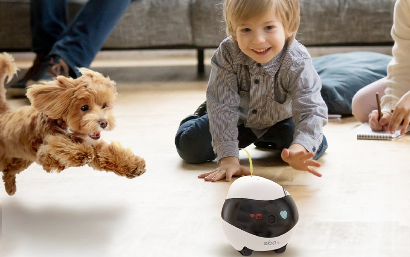 EAN 6972822120317 - Enabot EBO Air imagen 13