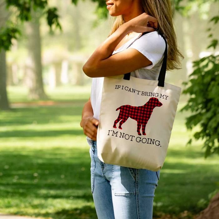 EAN 0093573646188 - Cricut 2006830 bolso y bandolera Poliéster Beige Mujer Bolso grande imagen 10