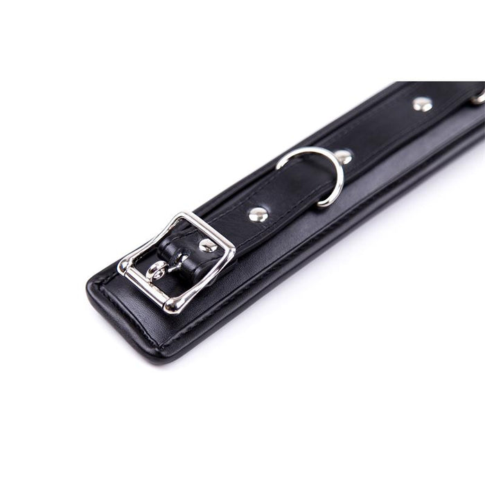 Collar Con Correa Interior Acolchado Negro