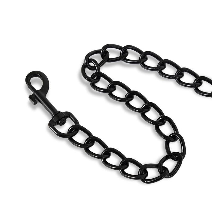 Collar Con Correa Que Brilla En La Oscuridad