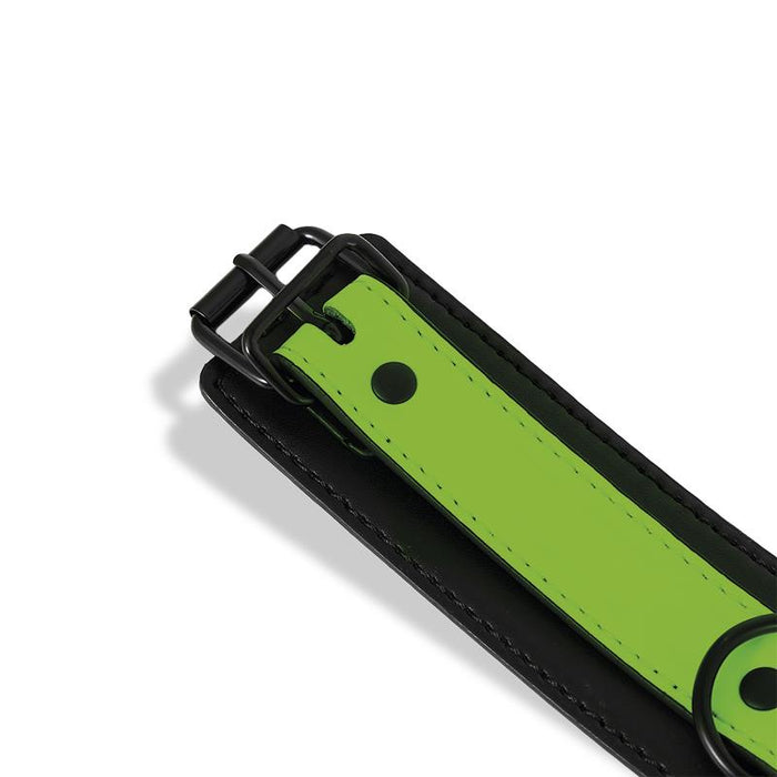 Collar Con Correa Que Brilla En La Oscuridad