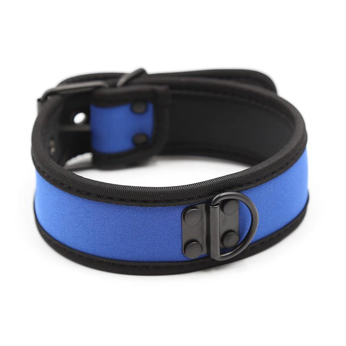 Collar De Neopreno Ajustable Azul