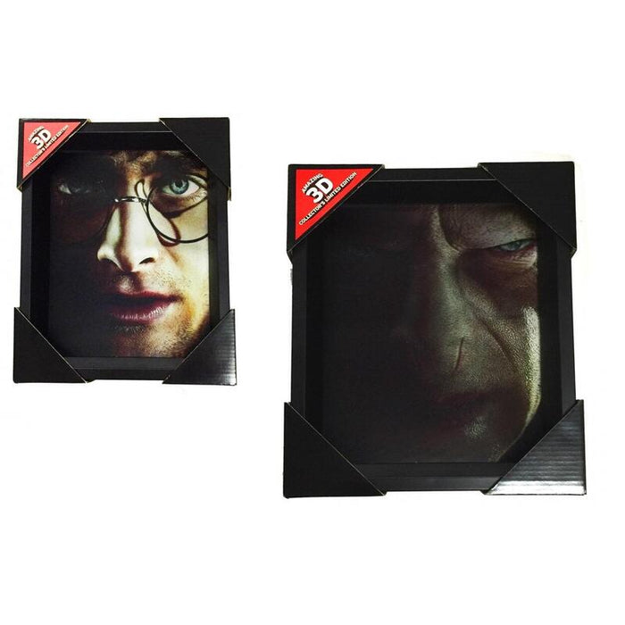 Cuadro 3d Harry Potter Voldemort