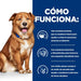 EAN 0052742038704 - Hills 605870 alimento húmedo para perros Ternera Universal 12 kg imagen 5