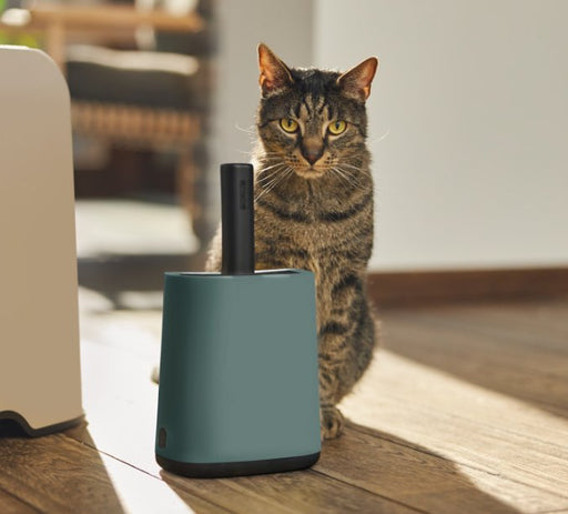 EAN 7610859247063 - Rotho BIALA imagen 2