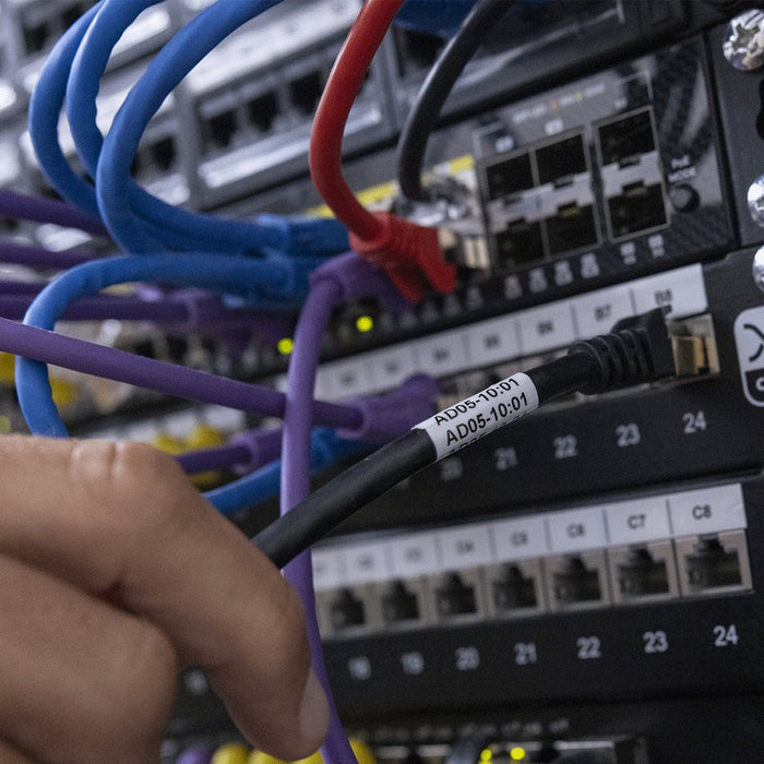 EAN 4977766847841 - Brother PT-E920BT impresora de etiquetas Transferencia térmica 360 x 360 DPI 20 mm/s Inalámbrico TZe Blue imagen 4