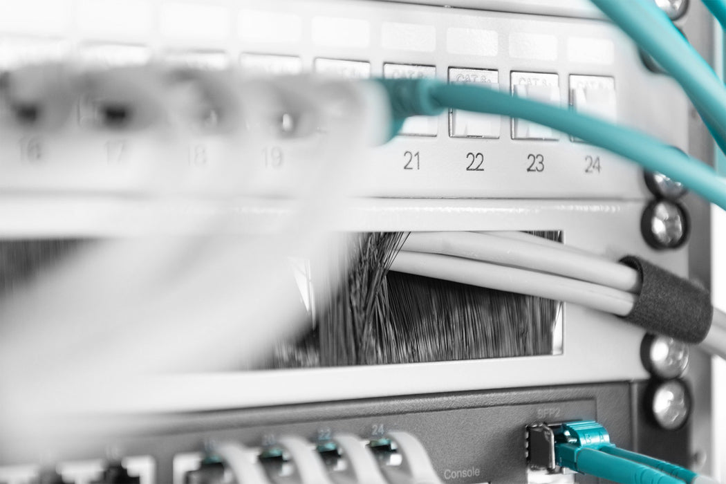 EAN 4016032430599 - Digitus DN-97660 accesorio de bastidor Panel ciego imagen 2