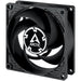 EAN 4895213704090 - ARCTIC P8 Max Carcasa del ordenador Ventilador 8 cm Negro 1 pieza(s) imagen 1