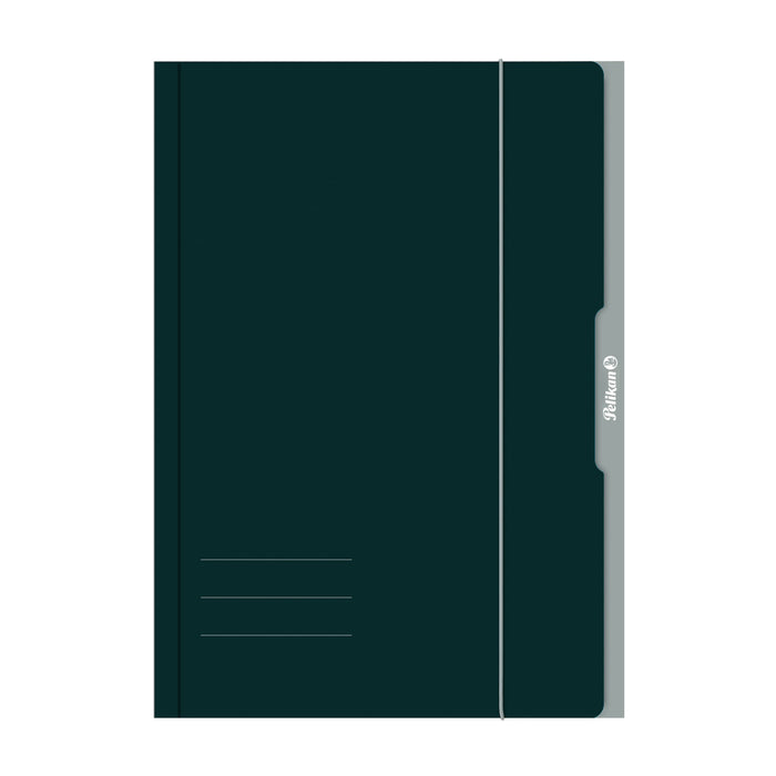 EAN 4012700276841 - Pelikan 276849 carpeta Cartón Verde A4 imagen 1