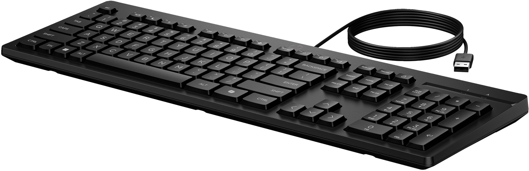 EAN 0198701843597 - HP 125 Wired Keyboard teclado Oficina USB Negro imagen 3