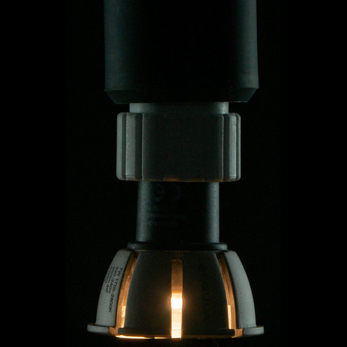 EAN 4260751132207 - Segula 55220 lámpara LED 1700 K 7 W GU10 G imagen 4