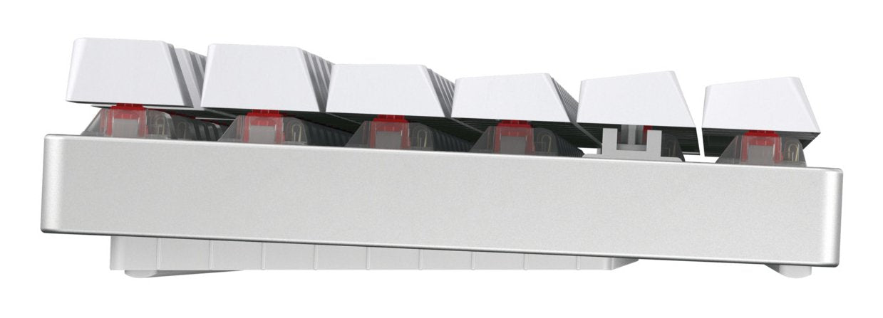 EAN 4025112115547 - CHERRY XTRFY MX 8.2 TKL Wireless XAGA teclado Juego USB + RF Wireless + Bluetooth QWERTZ Alemán Blanco imagen 3