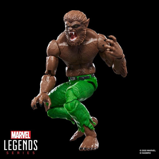 EAN 5010996317360 - Marvel Legends Series Werewolf By Night imagen 1