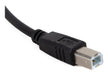EAN 8435364318713 - iggual IGG318713 cable USB USB 2.0 2 m USB A USB B Negro imagen 4