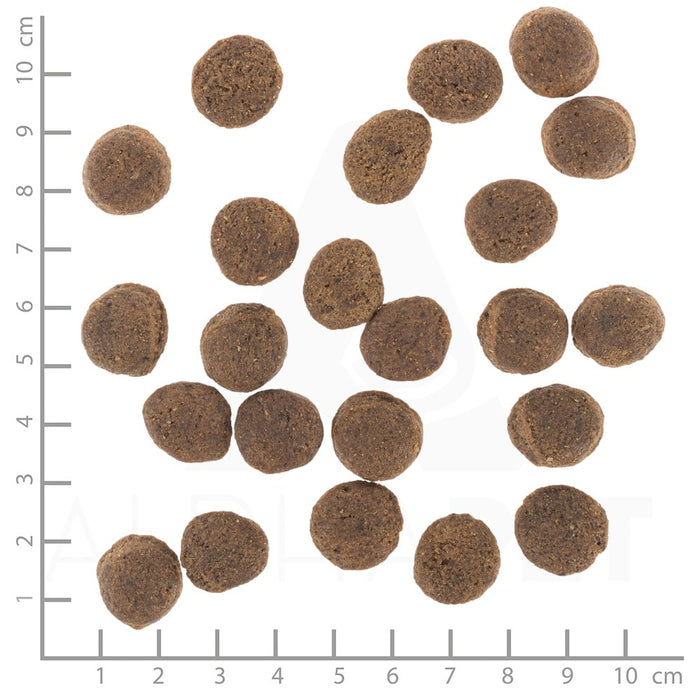 EAN 4260603786541 - Wolfsblut VetLine Gastrointestinal 2 kg Adulto Pato, Batata imagen 3