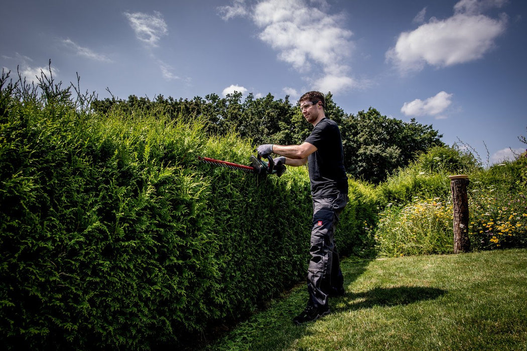 EAN 4061792223233 - Metabo HS 18 LTX 55 Cuchilla doble 2,6 kg imagen 9