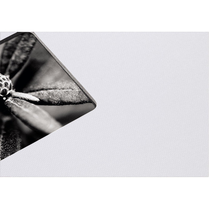 EAN 4007249021083 - Hama Fine Art álbum de foto y protector Gris 100 hojas 10 x 15 cm imagen 4