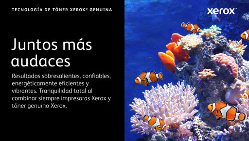 EAN 95205037999 - Xerox 006R04627 cartucho de tóner 1 pieza(s) Original imagen 2