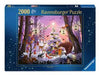 EAN 4005555014171 - Ravensburger 12001417 puzzle Puzzle rompecabezas 2000 pieza(s) Arte imagen 1