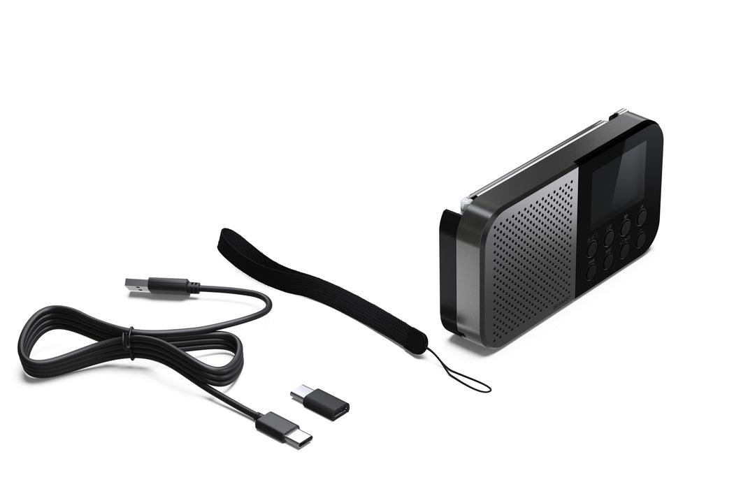 EAN 4974019204451 - Sharp DR-P520 Personal Digital Gris imagen 6