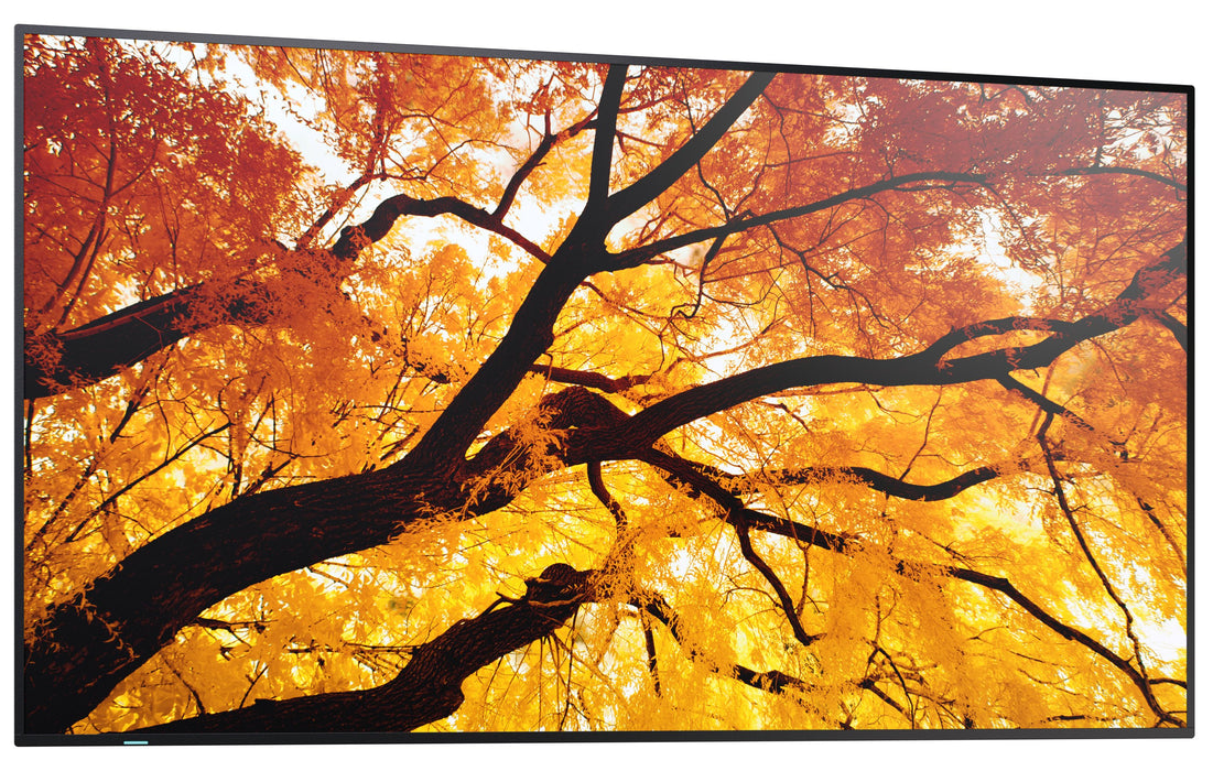 EAN 4550556130974 - Sharp MultiSync M552 Pantalla plana para señalización digital 139,7 cm (55") LCD 550 cd / m² 4K Ultra HD  imagen 5