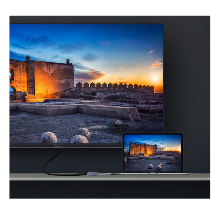 EAN 8420738312022 - SilverHT Logan tarjeta y adaptador de interfaz HDMI imagen 2