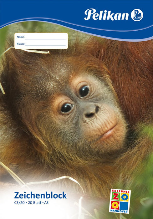 EAN 4012700224842 - Pelikan 224840 papel decorativo Bloc de hojas de papel para bellas artes 20 hojas imagen 2