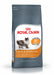 EAN 3182550721721 - Royal Canin Hair & Skin Care alimento seco para gatos 400 g Adulto imagen 2