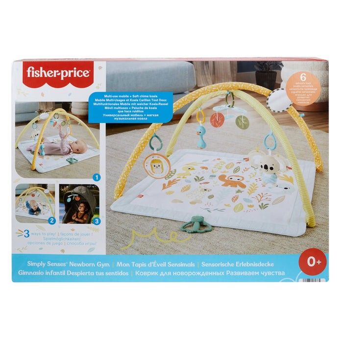 EAN 0194735171385 - Fisher-Price HRB15 gimnasio para bebé y tapete de juego Tela, Plástico Multicolor Gimnasio para bebés imagen 6