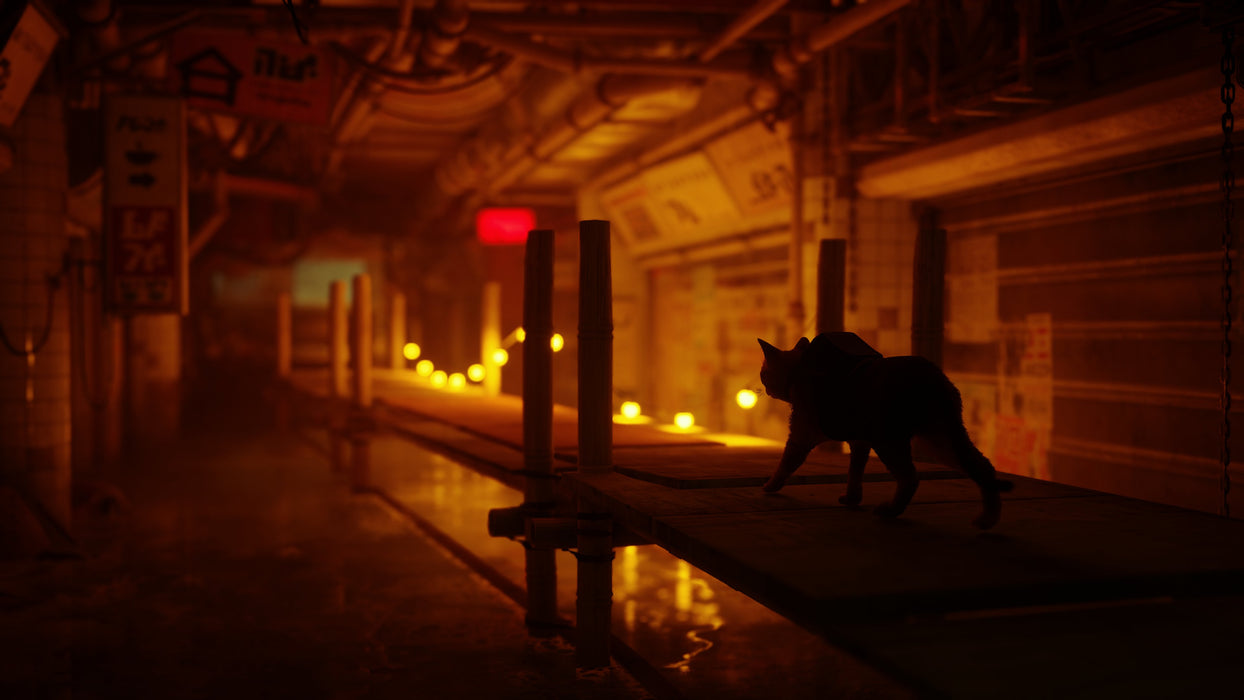 EAN 0811949035196 - Skybound Games Stray Estándar Italiano PlayStation 5 imagen 18