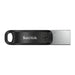 EAN 0619659169947 - SanDisk SDIX60N-256G-GN6NE unidad flash USB 256 GB 3.2 Gen 1 (3.1 Gen 1) Gris, Plata imagen 2