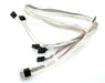 EAN 0672042141760 - Supermicro CBL-SAST-0556 cable Serial Attached SCSI (SAS) Negro, Blanco imagen 1