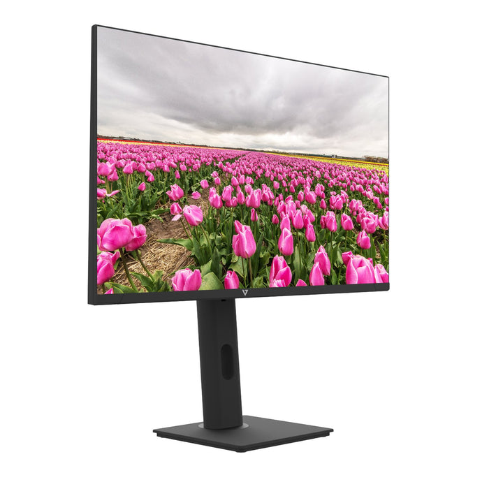EAN 662919122015 - V7 L238V0-HAS-E pantalla para PC 60,5 cm (23.8") 1920 x 1080 Pixeles Negro imagen 3