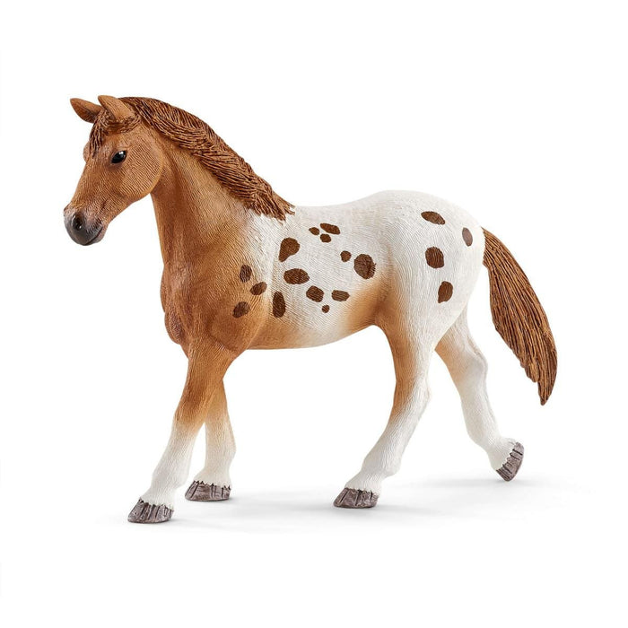 EAN 4055744021831 - schleich HORSE CLUB 42433 set de juguetes imagen 3
