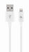 EAN 8716309106450 - Cablexpert CC-USB2P-AMLM-1M-W cable de conector Lightning Blanco imagen 1
