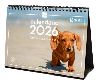 EAN 8422952402275 - Finocam 780323726 calendario Mesa imagen 1