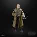 EAN 5010994179311 - Star Wars The Black Series F55295X0 toy figure imagen 11