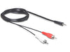 EAN 4043619840007 - DeLOCK 84000 cable de audio 1,5 m 2 x RCA 3,5mm Negro imagen 1