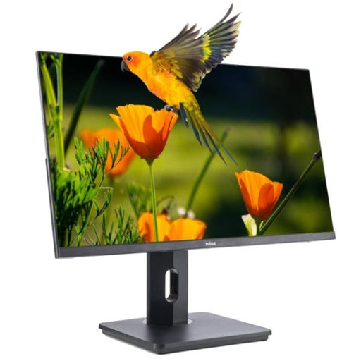 EAN 8054320848851 - Nilox NXM24REG02 pantalla para PC 61 cm (24") 1920 x 1080 Pixeles LED Negro imagen 2