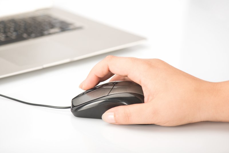 EAN 4054007810465 - Ednet 81046 ratón Oficina Ambidextro USB tipo A Óptico 800 DPI imagen 2