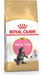 EAN 3182550770958 - Royal Canin Maine Coon Kitten alimento seco para gatos 4 kg Gatito Aves, Arroz imagen 1